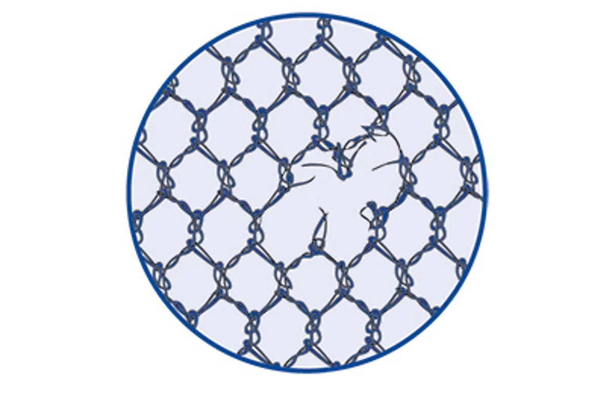 SCHMETZ_Schiffli_BeschaedigungNetz-1